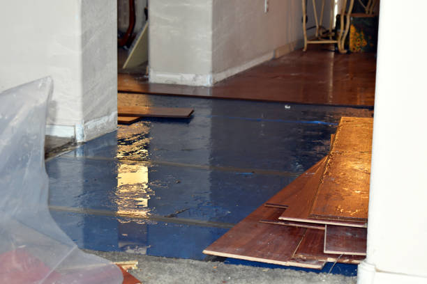 Professional Sewage Cleanup technician working in Brookshire, TX